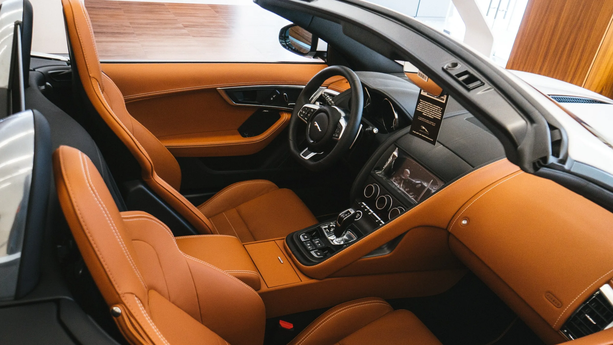 JAGUAR