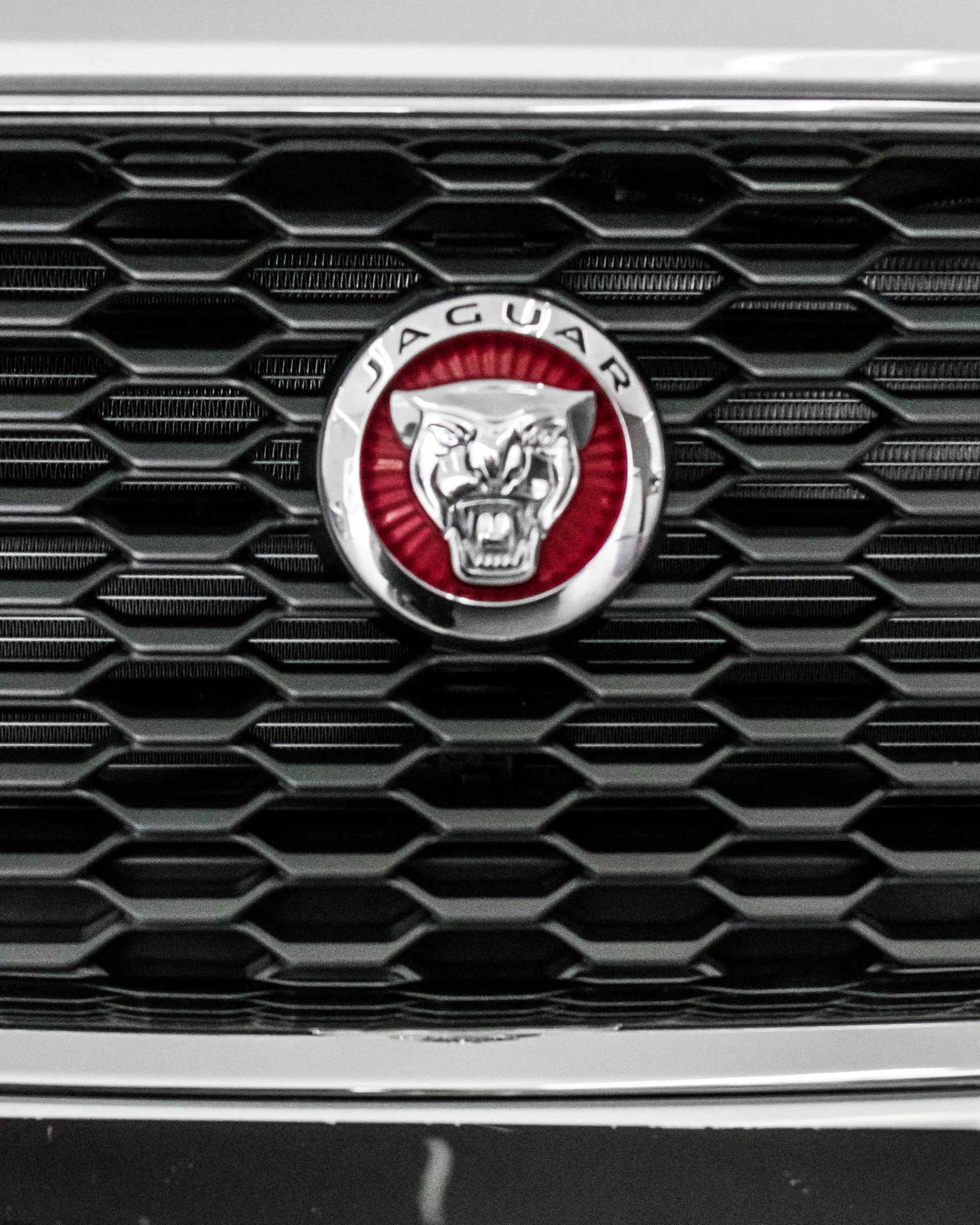 JAGUAR