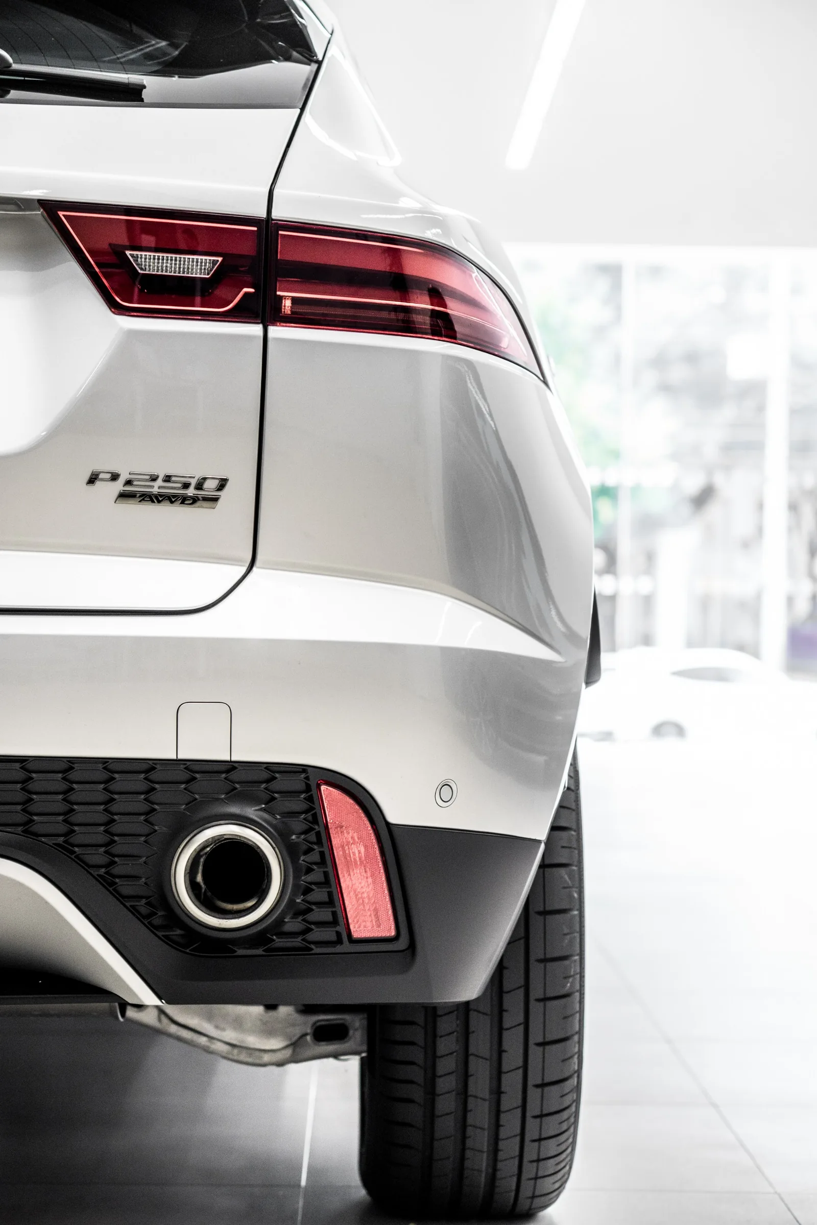 JAGUAR