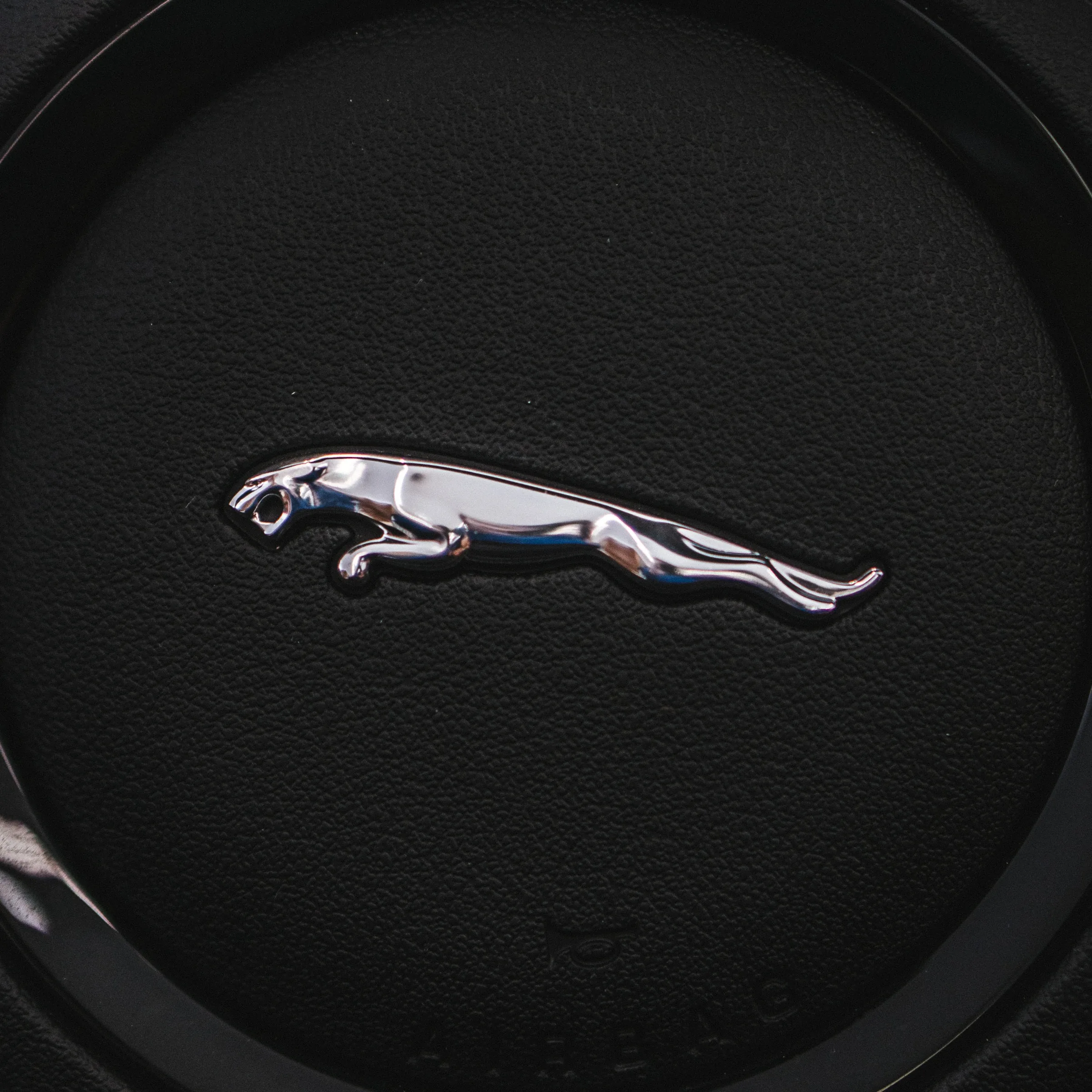 JAGUAR