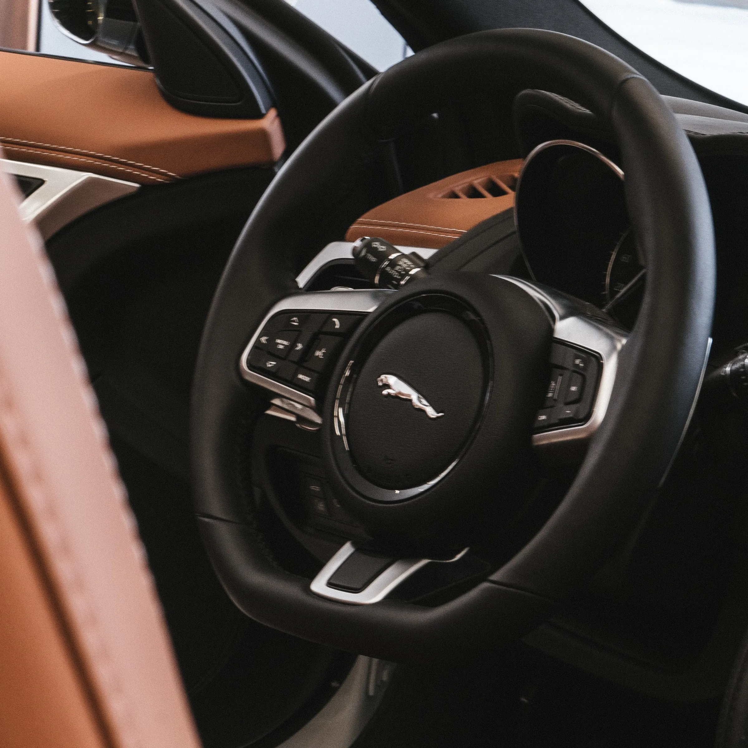 JAGUAR