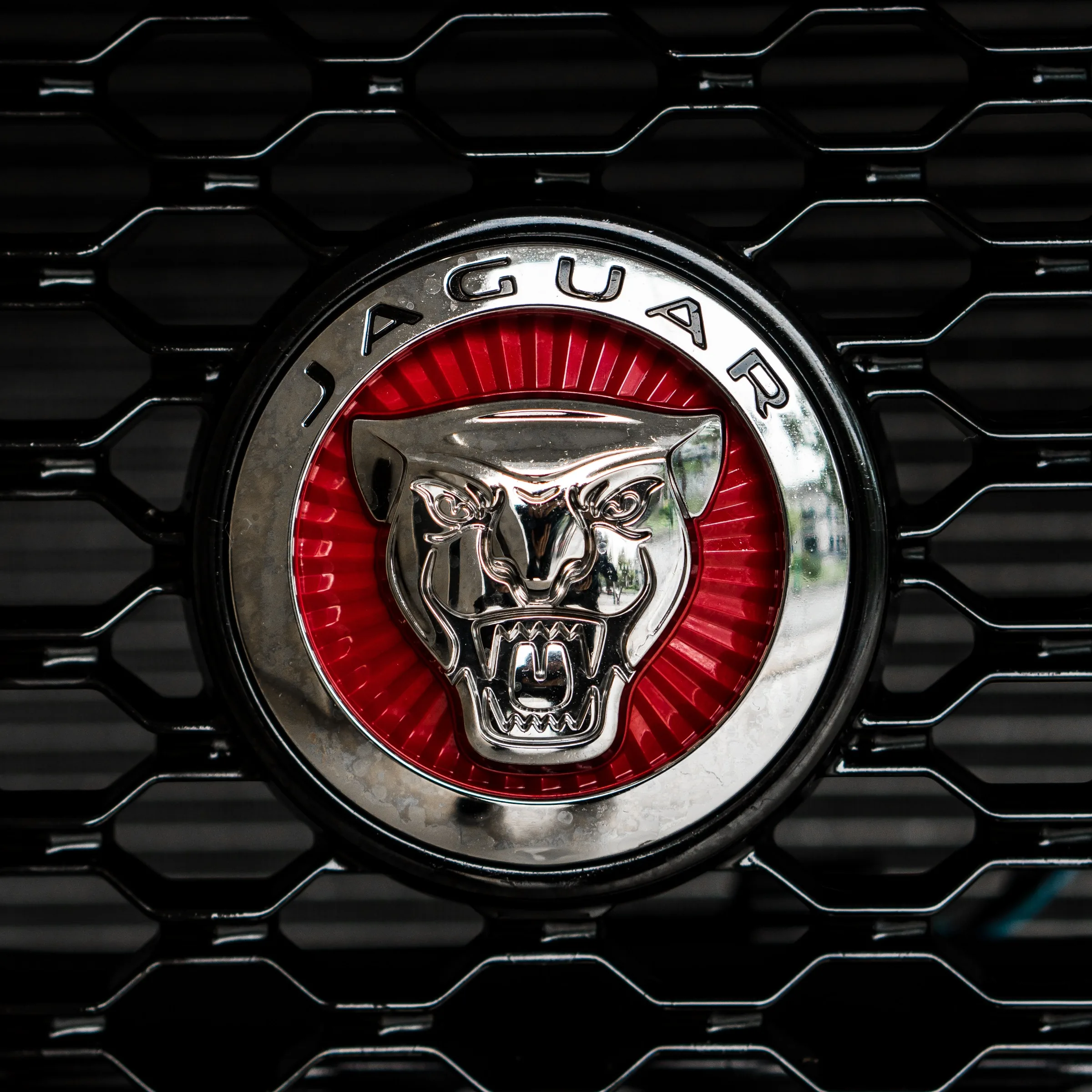 JAGUAR