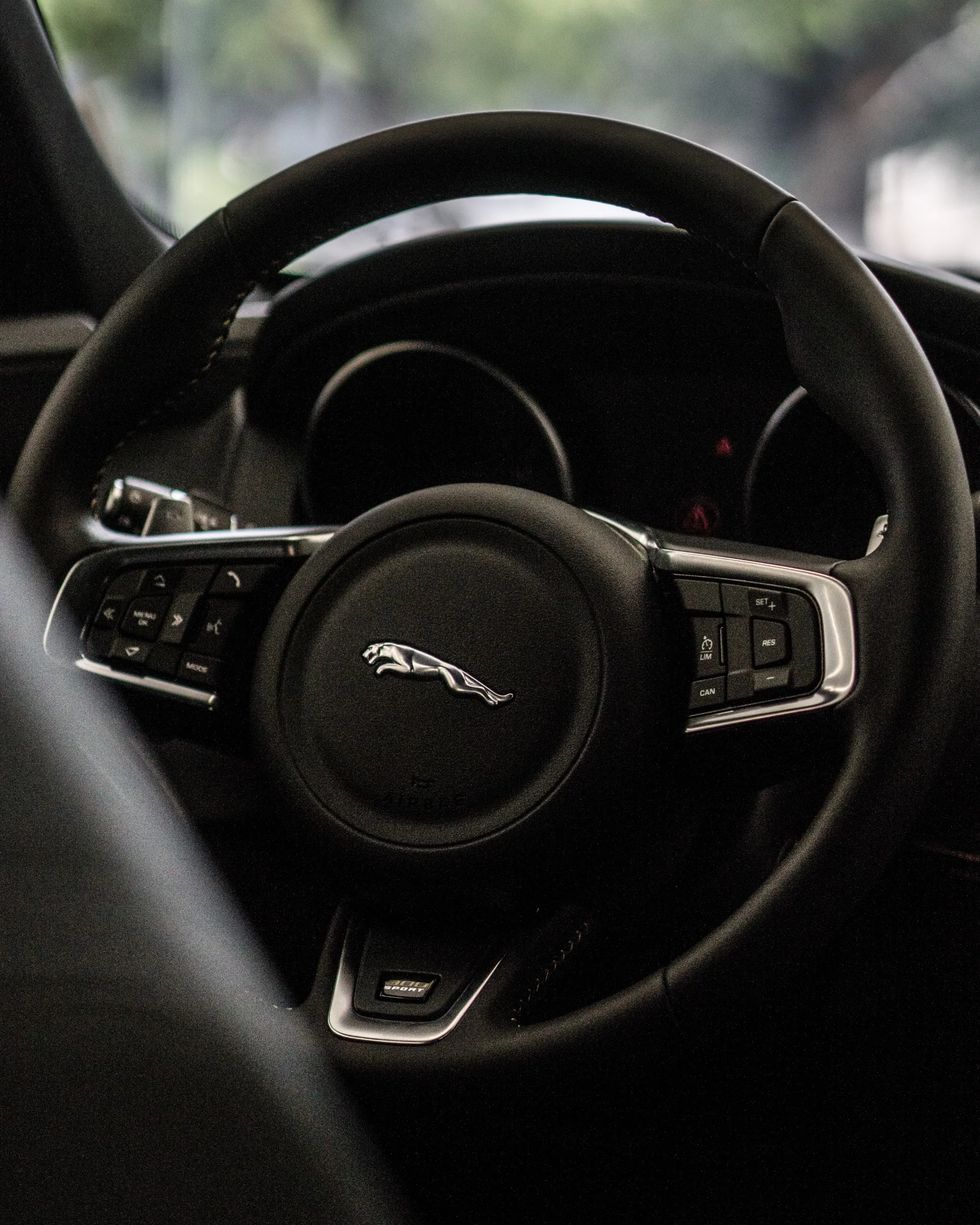 JAGUAR