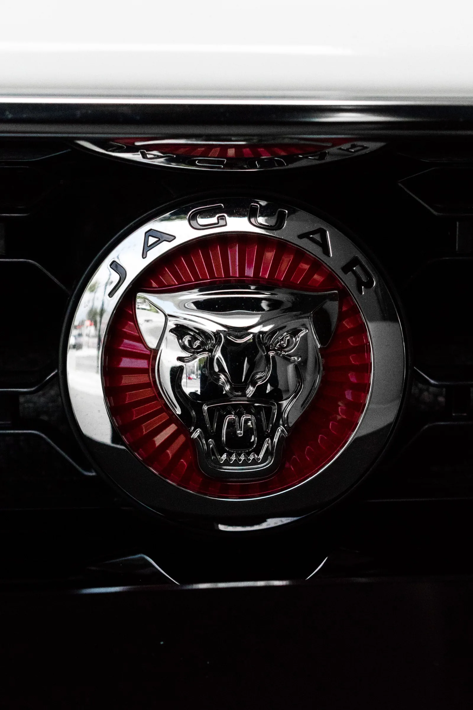 JAGUAR